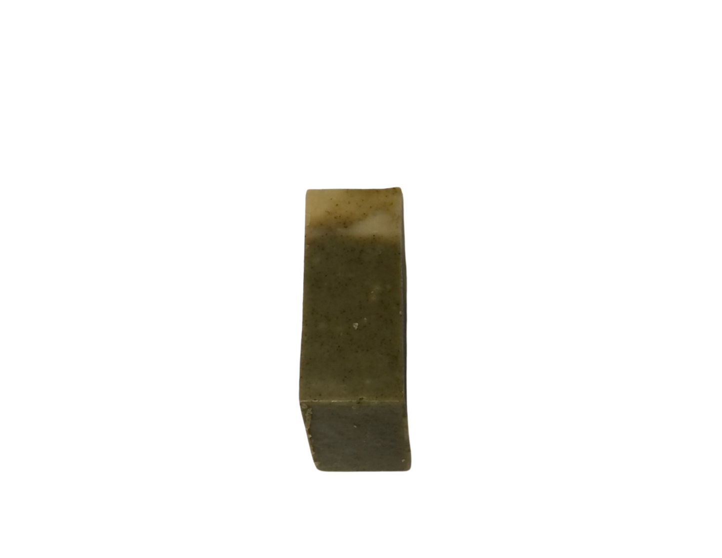 Moringa Cream Bar Soap - Handmade with Shea Butter & Natural Oils